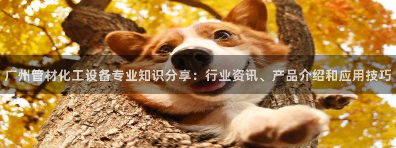 美狮会员卡等级有什么用