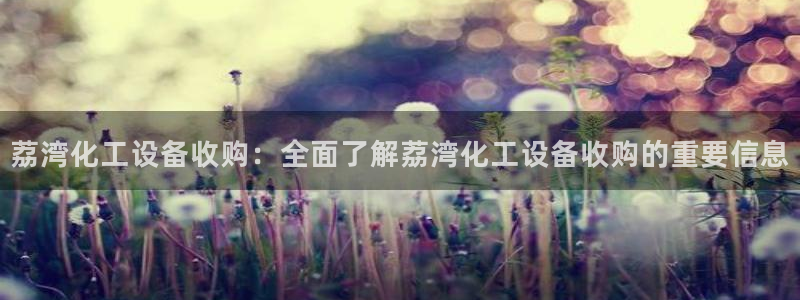 美狮集团有限公司
