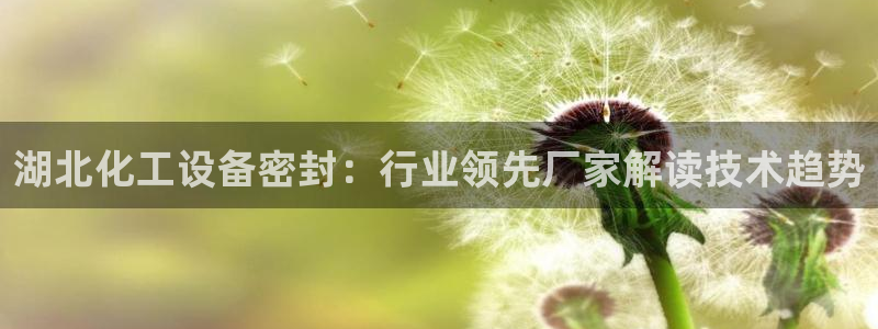 美狮贵宾快速充值中心