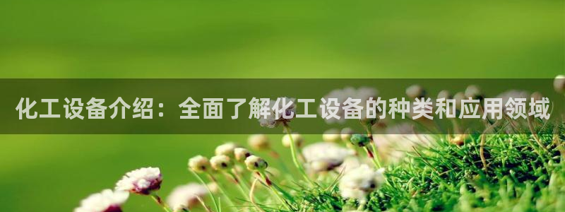 美国美狮集团