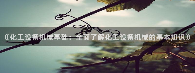 美狮会员入口
