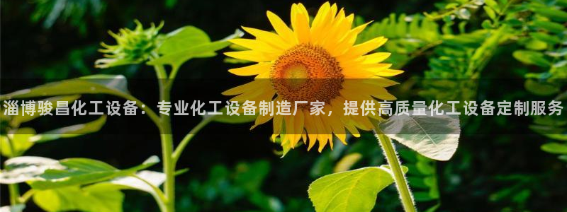 美狮会员充值中心官网