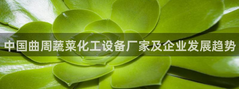 美狮会