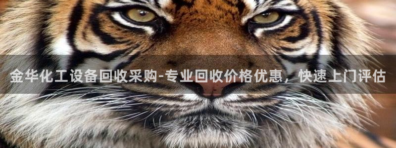 美狮贵宾会网址是什么