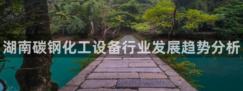 美狮贵宾会输了几万