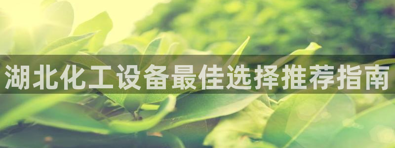 美狮贵宾有人赢过吗