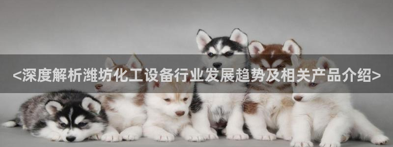 美狮会推荐人