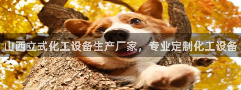美狮会官网