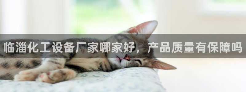 美狮会平台上的钱能取出来吗