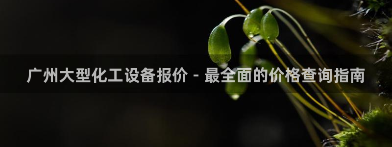 美狮会怎么样