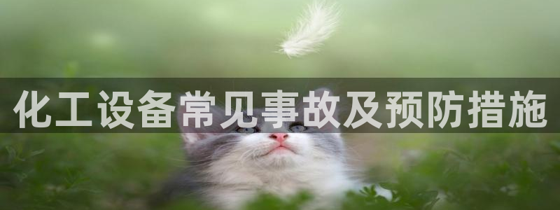 美狮贵宾厅
