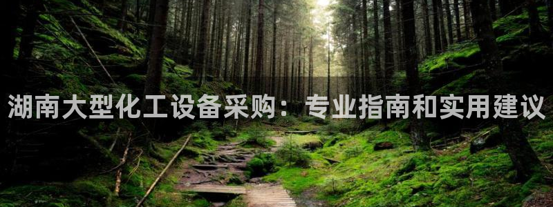 美狮贵宾会输了几万