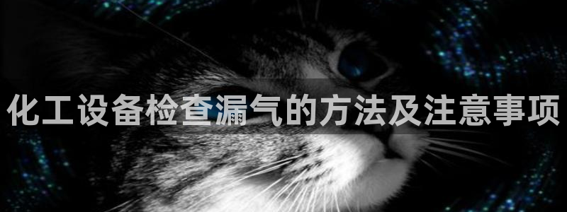 美狮荟积分规则