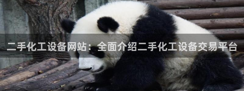美狮科技有限公司