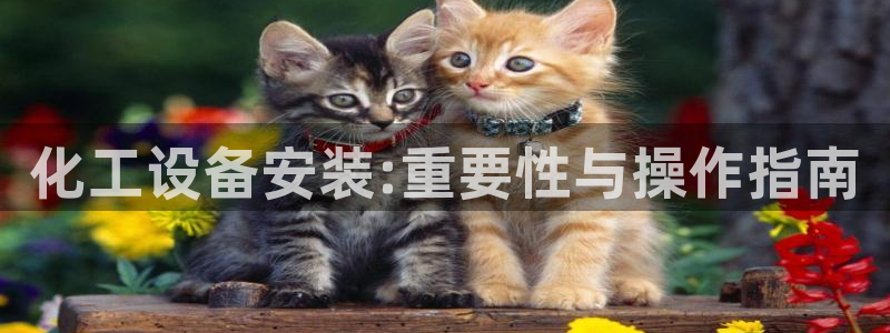 美狮会员充值中心官网