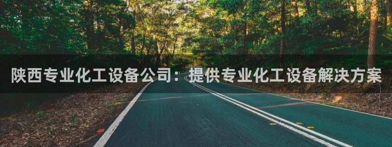 美国美狮集团