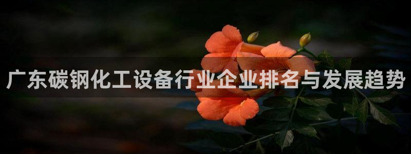美狮贵宾会安全吗
