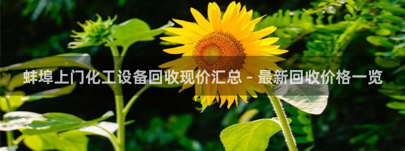 美狮贵宾会开了几年了没有