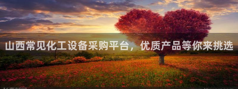 美狮贵宾会怎么登录