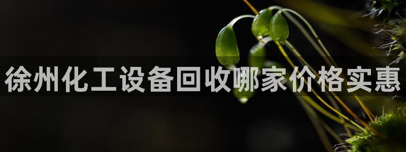 美狮国际控股集团