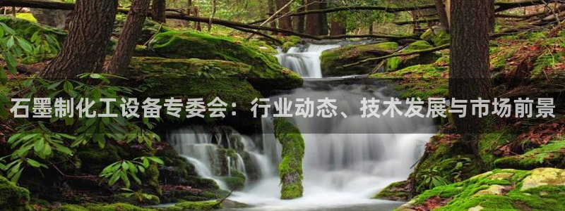 美狮传媒集团简介