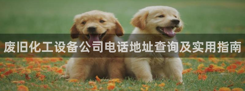 美狮贵宾会注册登录