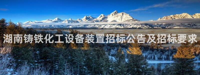 美狮贵宾会登录网址是什么