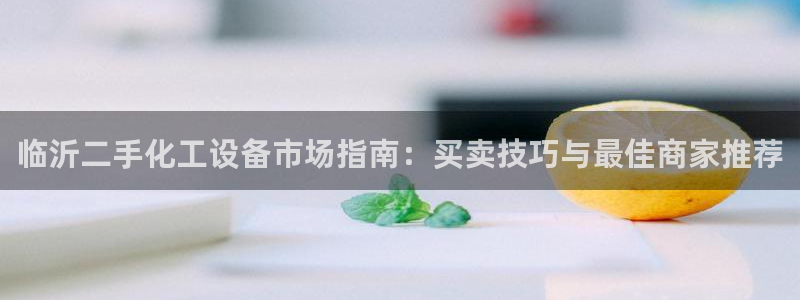 美狮服装