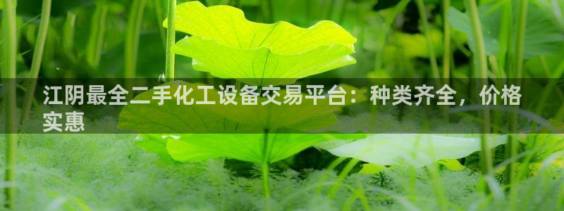 美狮科技