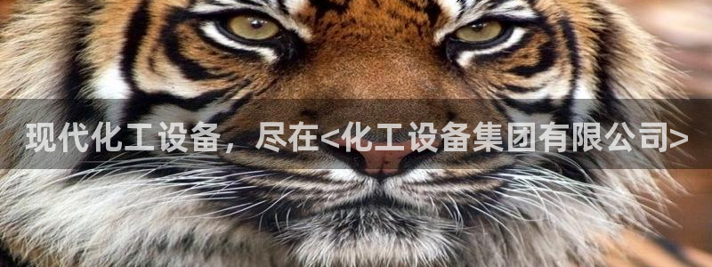 美狮会员卡等级划分表
