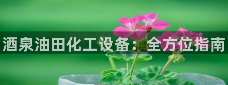 美狮外汇最新消息
