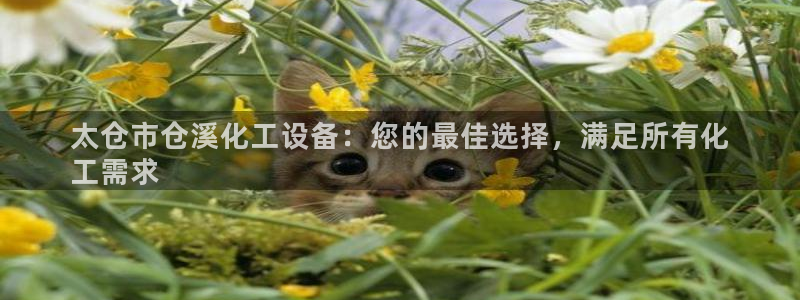 美狮贵宾会代理