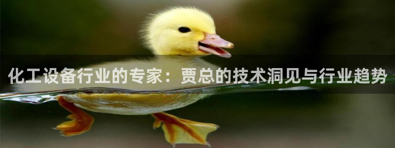 美狮贵宾会网址是什么
