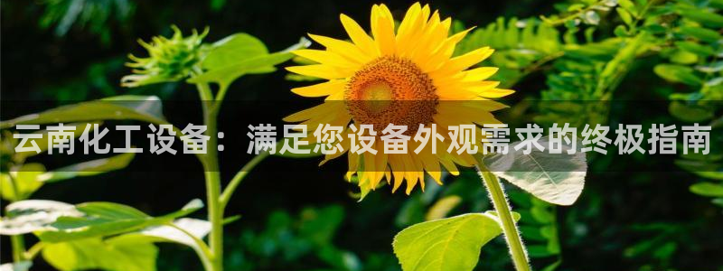 美狮官网