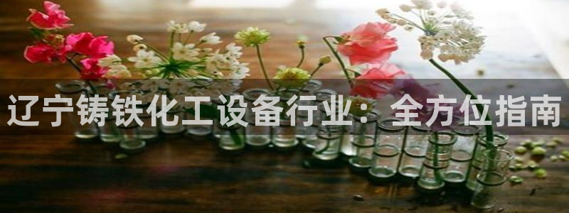 美狮贵宾会介绍人添什么