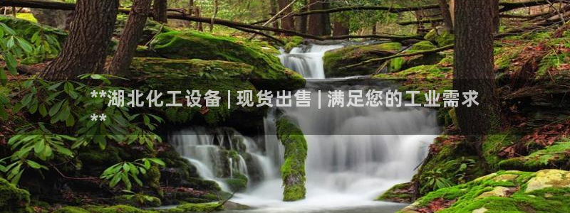 美狮贵宾会怎找不到了