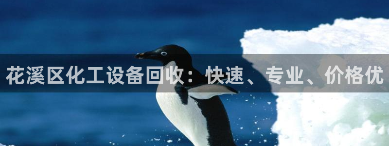 美狮贵宾会首页