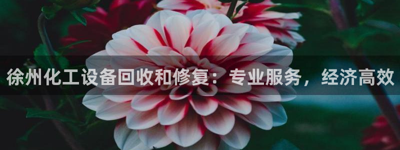 美狮贵宾会0925511