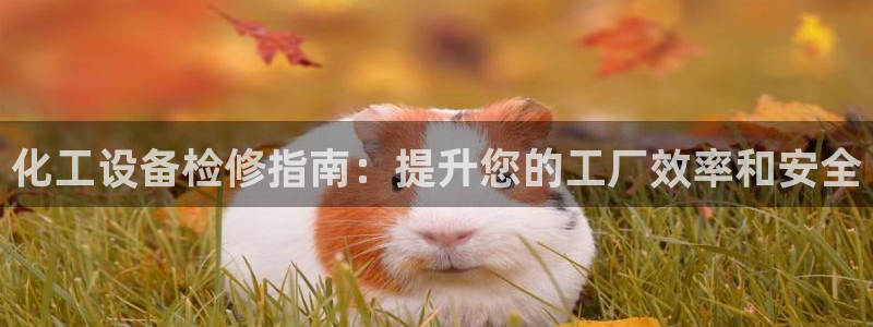 美狮贵宾会开了几年了吗