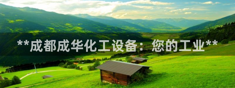 美狮贵宾会输了几万
