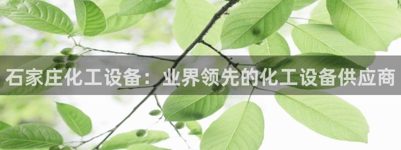 美狮实业有限公司