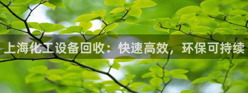 美狮会挂机骗局