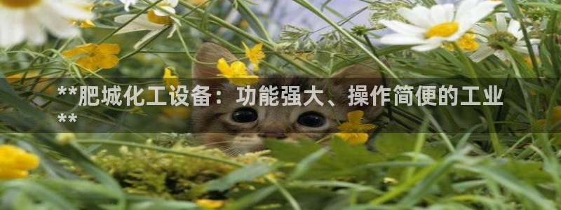 美狮会套利是真的吗还是假的