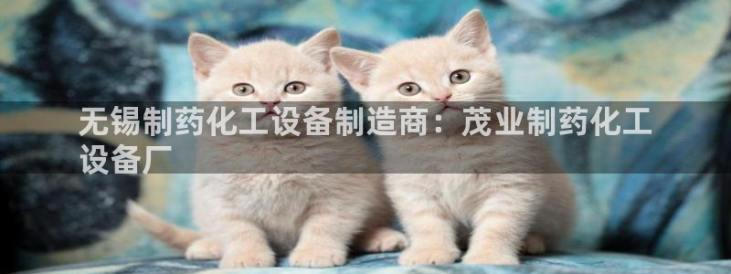 美狮贵宾会怎么不到了