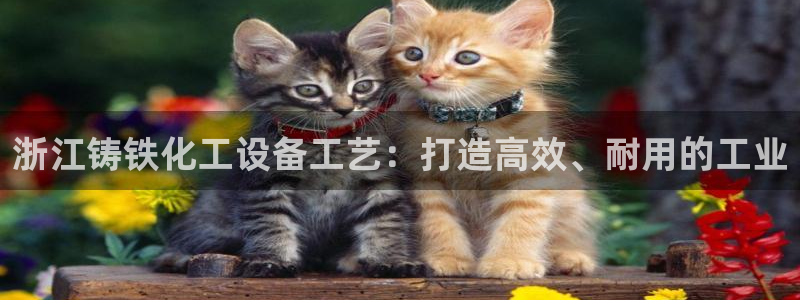 美狮会赚钱平台是骗局吗