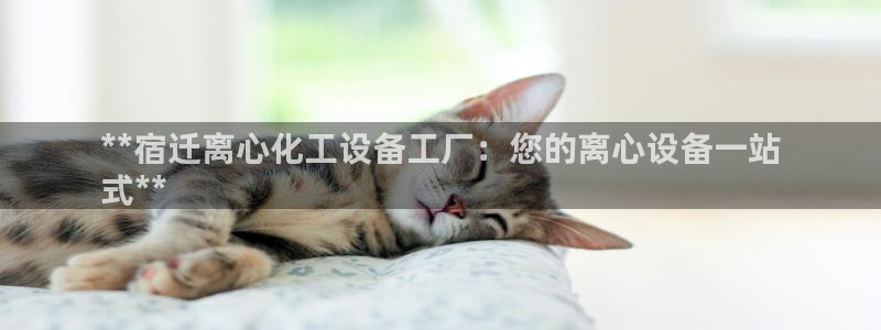 美狮科技