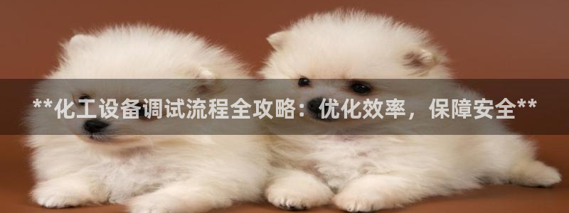 美狮贵宾会输了几万
