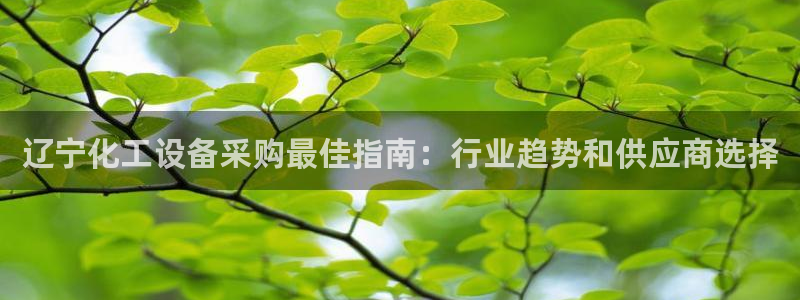 美国美狮集团