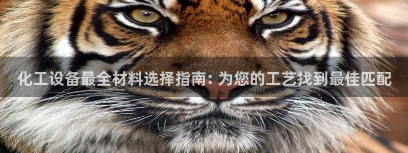 美狮传媒集团有限公司