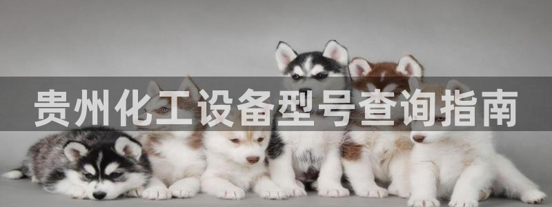 美狮贵宾会官网网址